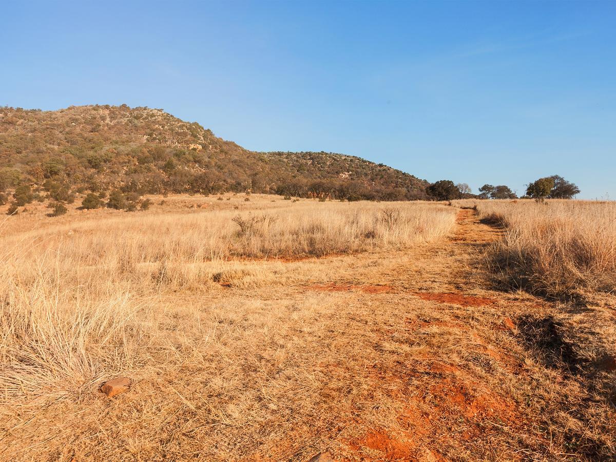 Kloofzicht Lodge & Spa クルーガーズドープ エクステリア 写真 The trail near the summit of Mount Scott